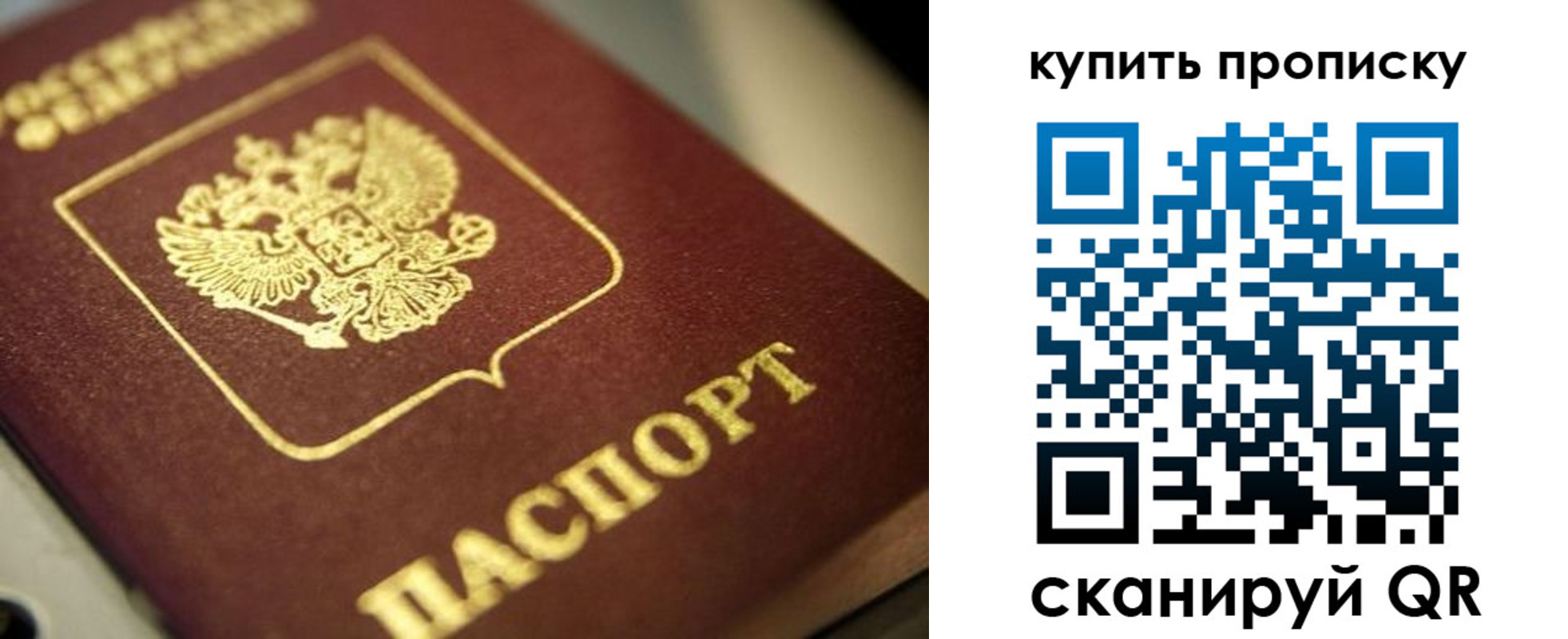 прописка поиск в Козловке